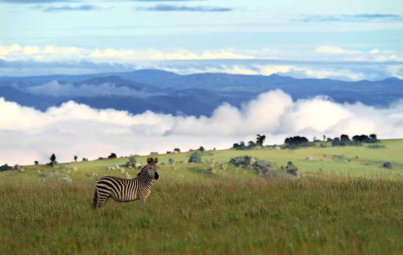 Parque nacional de Nyika