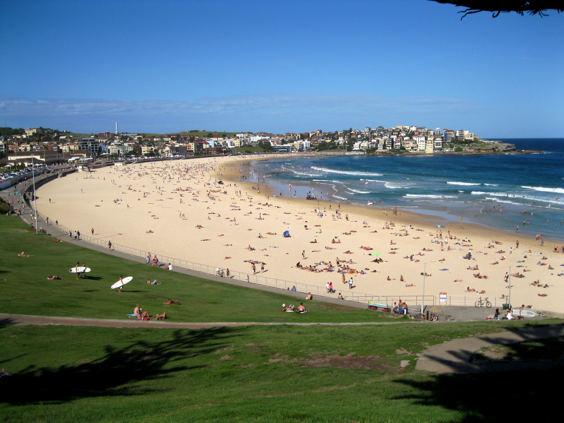 Bondi Beach